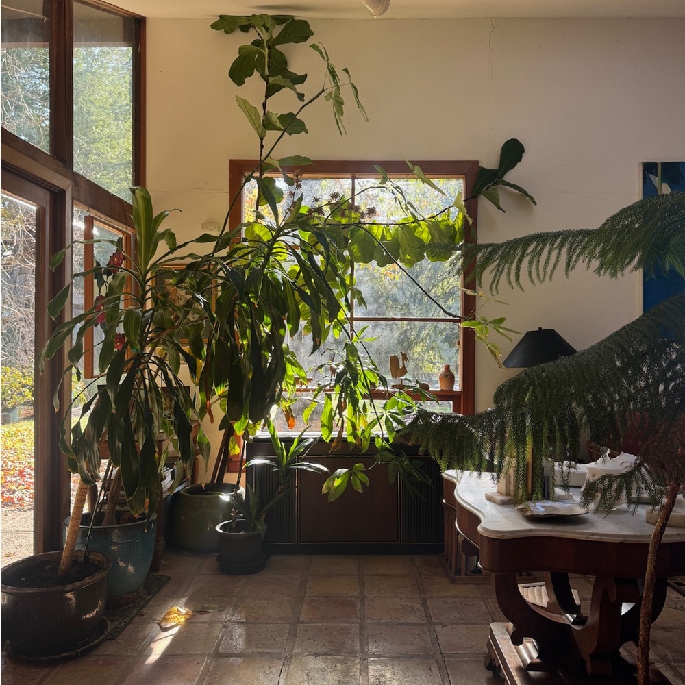 Meet your Posher, Moppy